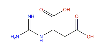 2-Guanidinosuccinic acid